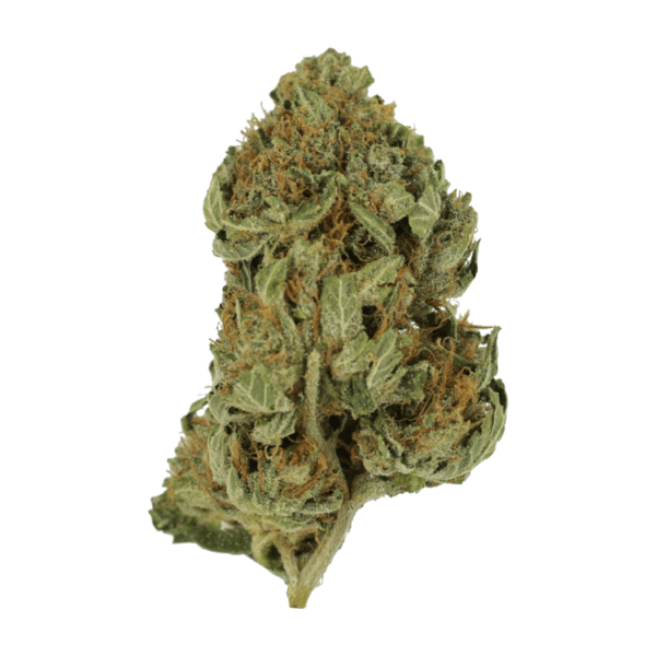 Bubblegum – 1 ounce | Crystal Cloud 9 Canada