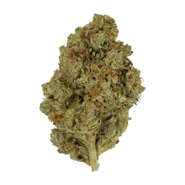 Nepalese | Crystal Cloud 9 Canada