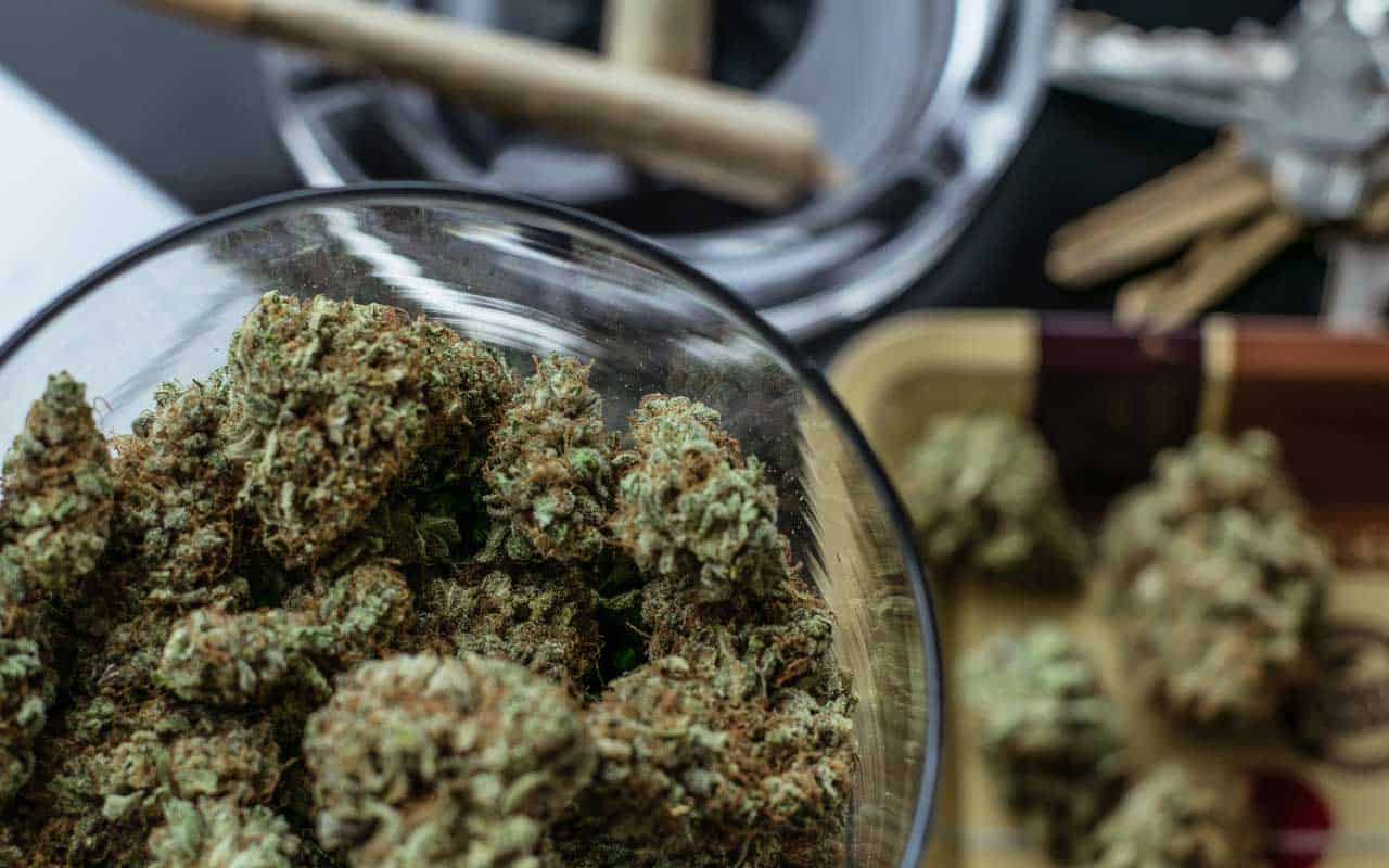 | Crystal Cloud 9 Canada Premium cannabis vs Affordable Weed | Crystal Cloud 9 Canada