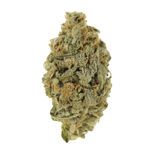Lavender | Crystal Cloud 9 Canada
