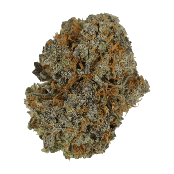 Jack Herer 1 Ounce | Crystal Cloud 9 Canada