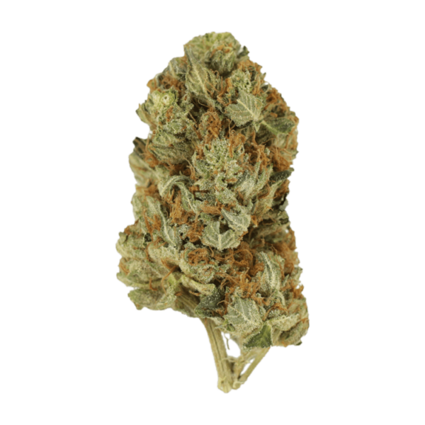 Jet Fuel | Crystal Cloud 9 Canada