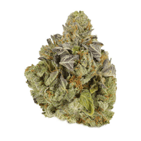 Jet Fuel | Crystal Cloud 9 Canada