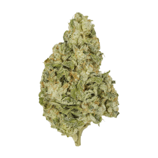 Zombie OG | Crystal Cloud 9 Canada