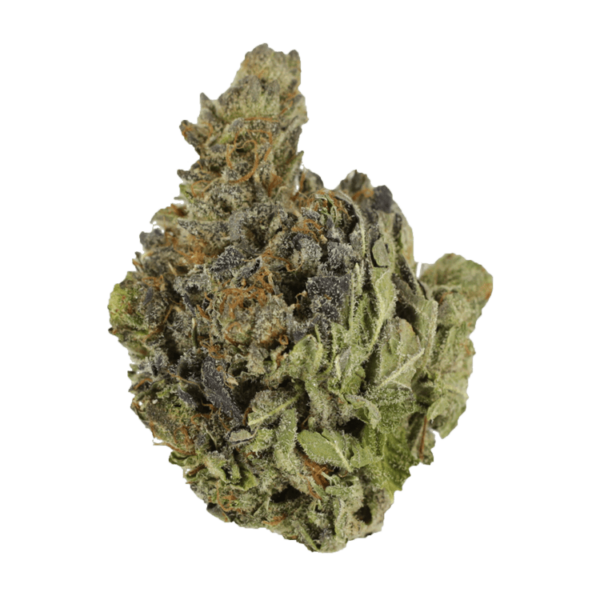 Chocolope | Crystal Cloud 9 Canada