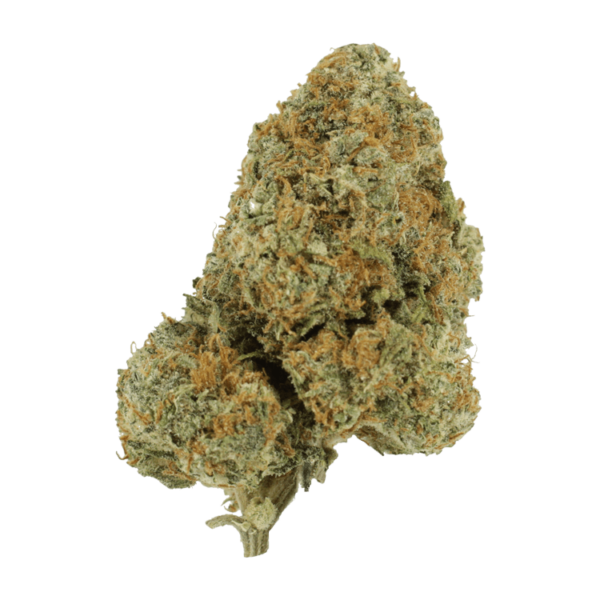 Blue Rhino | Crystal Cloud 9 Canada