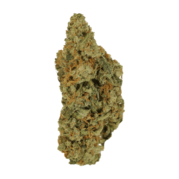 Mimosa | Crystal Cloud 9 Canada