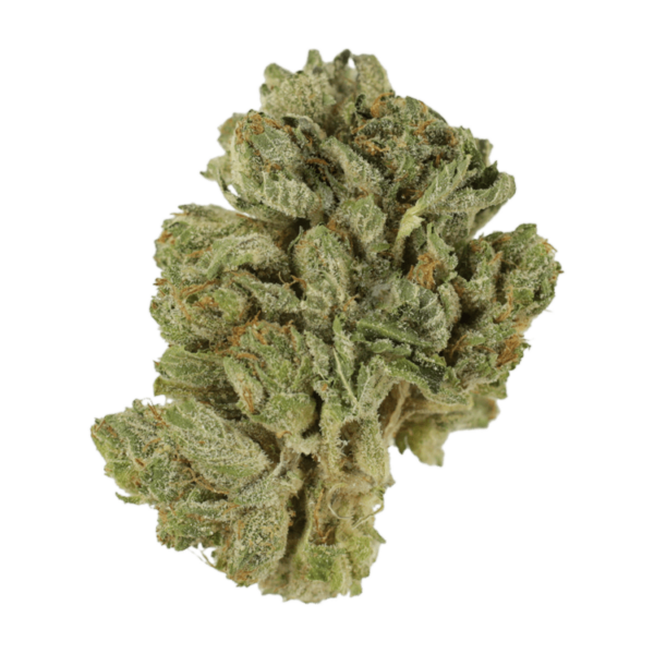 Northern Lights 2 for $69 | Crystal Cloud 9 Canada