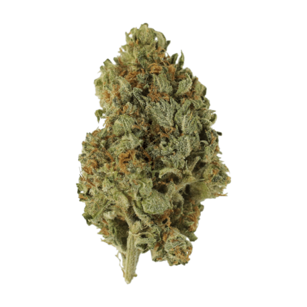 Sugar Cookies | Crystal Cloud 9 Canada