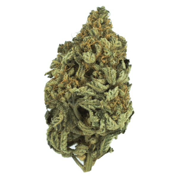 Bakerstreet | Crystal Cloud 9 Canada