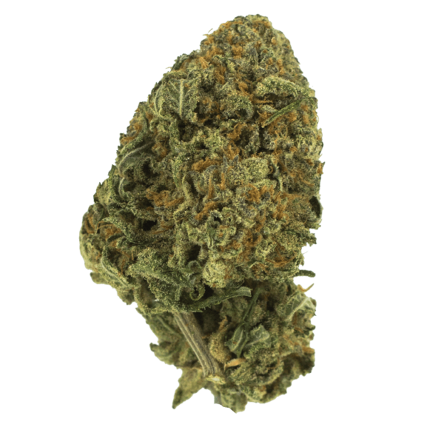 Black Nuken | Crystal Cloud 9 Canada