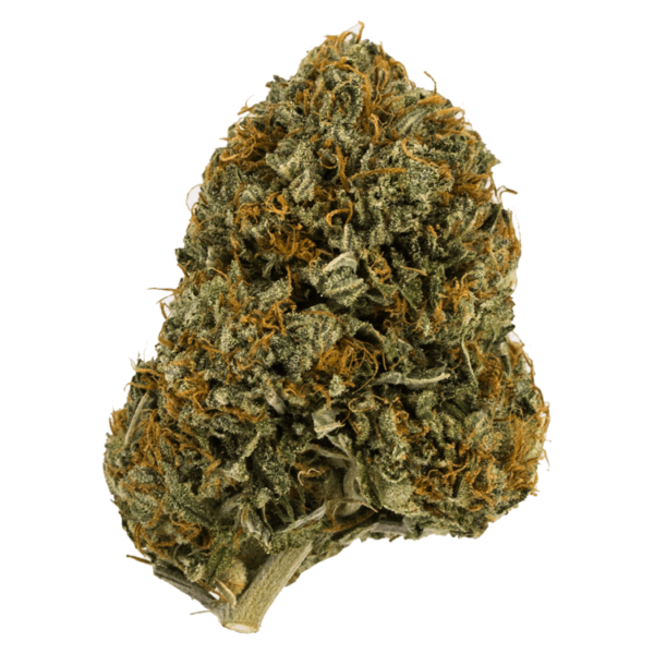 Wifi OG – 1 ounce | Crystal Cloud 9 Canada