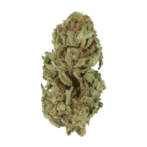 Golden Goat | Crystal Cloud 9 Canada