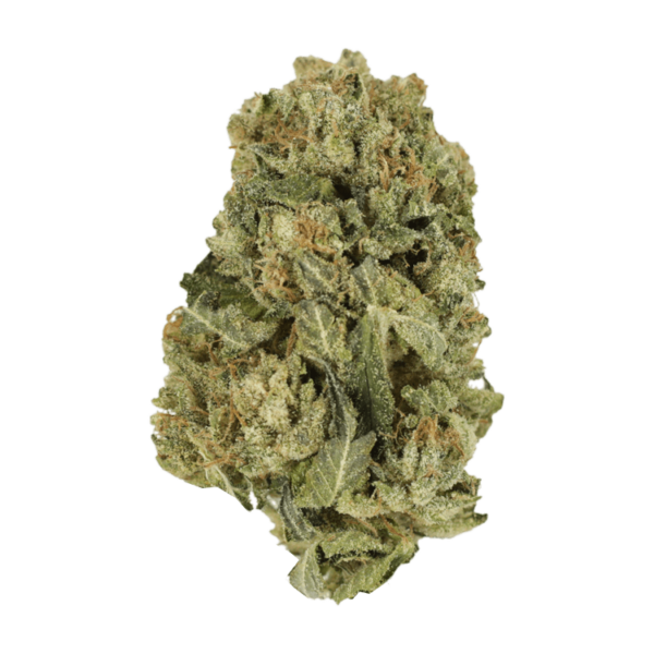 Black Domina | Crystal Cloud 9 Canada