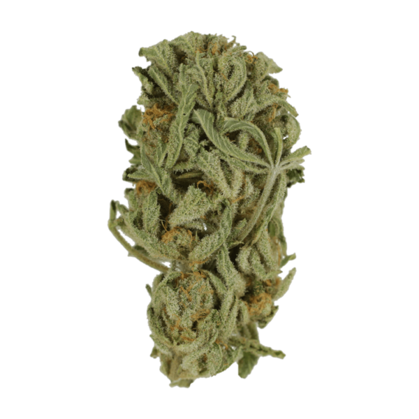 Master Kush Ultra | Crystal Cloud 9 Canada