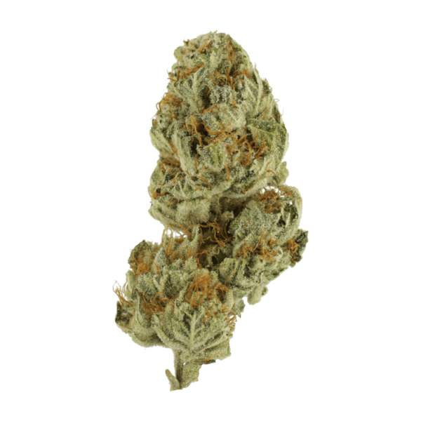 Strawberry Glue | Crystal Cloud 9 Canada