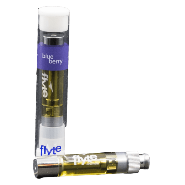 Flyte Cart – Blueberry 0.5ml | Crystal Cloud 9 Canada