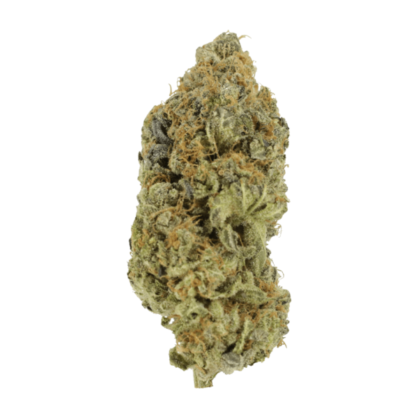 Critical Widow | Crystal Cloud 9 Canada