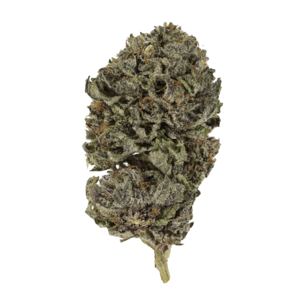 Purple Skunk | Crystal Cloud 9 Canada