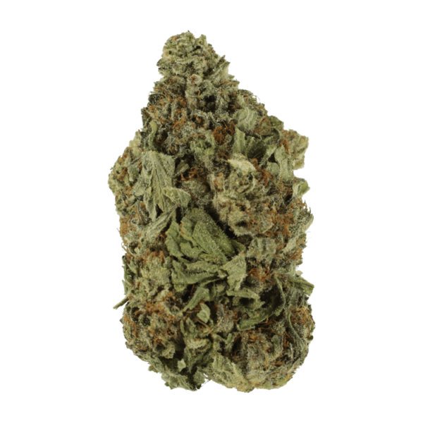 Shishkaberry | Crystal Cloud 9 Canada