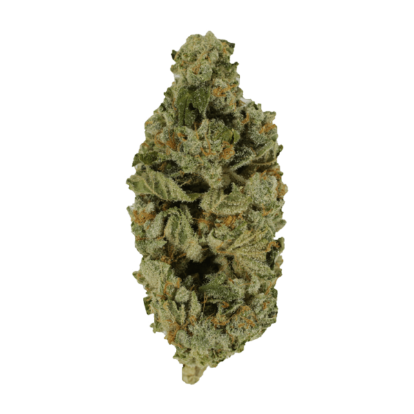 Crazy Glue | Crystal Cloud 9 Canada