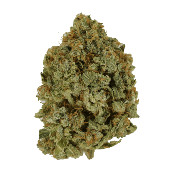 Crazy Glue | Crystal Cloud 9 Canada