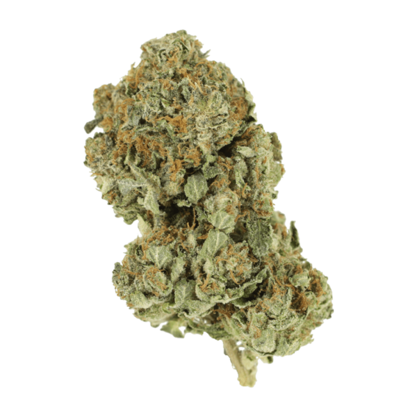 Romulan | Crystal Cloud 9 Canada