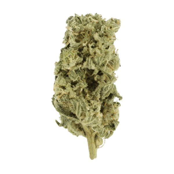 Romulan Hashplant | Crystal Cloud 9 Canada