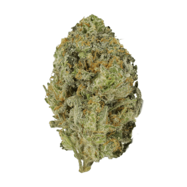 Skywalker OG | Crystal Cloud 9 Canada
