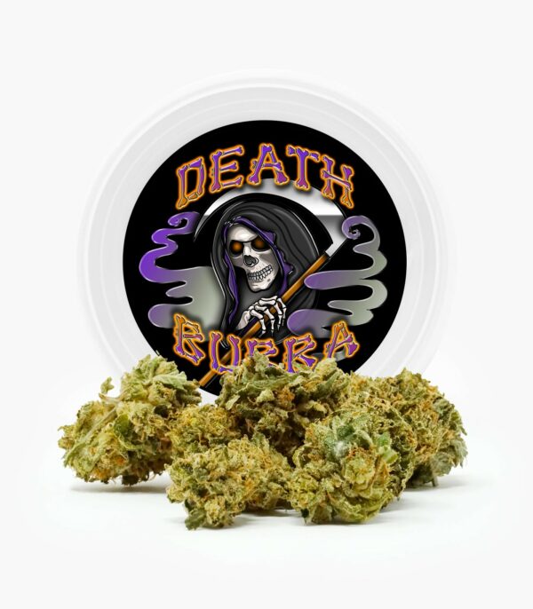 Westcoast Cali Tins – Premium Flower – Skywalker OG – 3.5g | Crystal Cloud 9 Canada