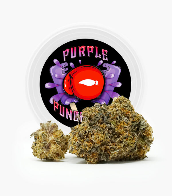 Westcoast Cali Tins – Premium Flower – Purple Punchsicle – 14g | Crystal Cloud 9 Canada