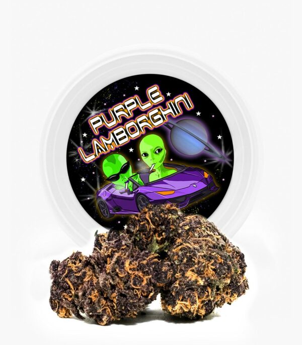 Westcoast Cali Tins – Premium Flower – Purple Lamborghini – 3.5g | Crystal Cloud 9 Canada
