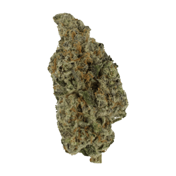 Biscotti Sundae | Crystal Cloud 9 Canada
