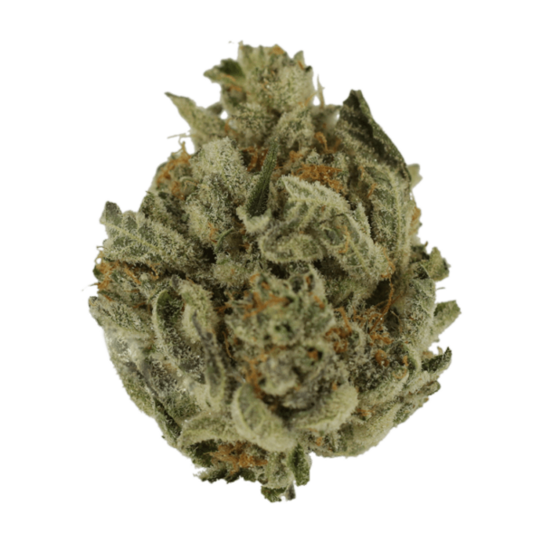 Biscotti Sundae | Crystal Cloud 9 Canada