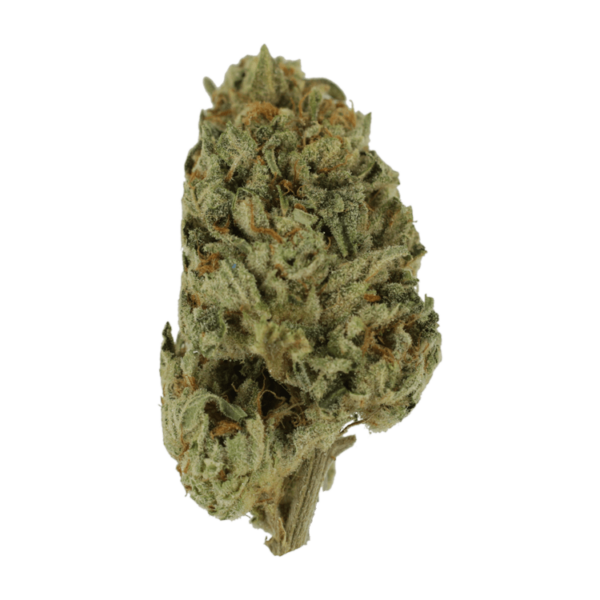 Biscotti Sundae | Crystal Cloud 9 Canada