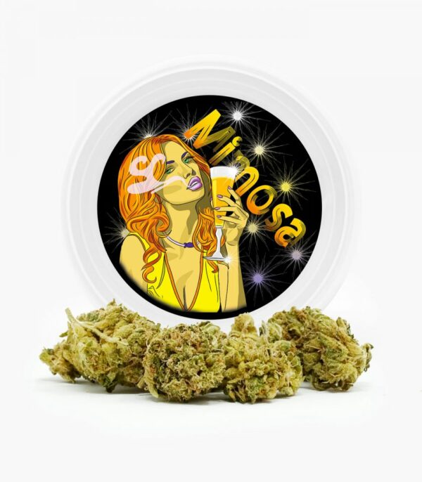 Westcoast Cali Tins – Premium Flower – Mimosa – 3.5g | Crystal Cloud 9 Canada