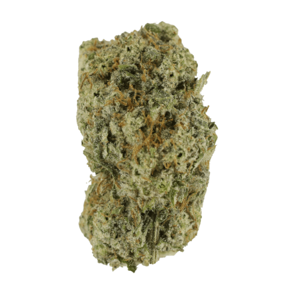 Eleven Roses | Crystal Cloud 9 Canada