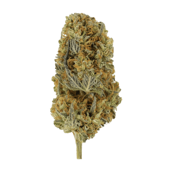 Headband | Crystal Cloud 9 Canada