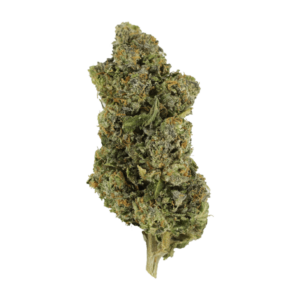 Jokerz | Crystal Cloud 9 Canada