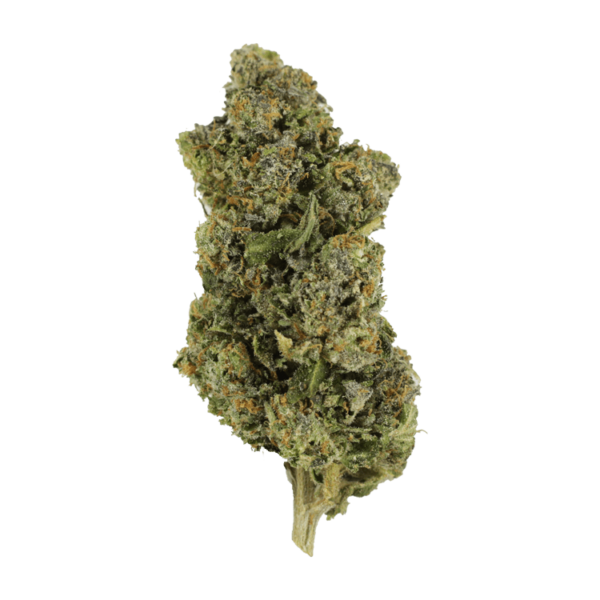 Jokerz | Crystal Cloud 9 Canada
