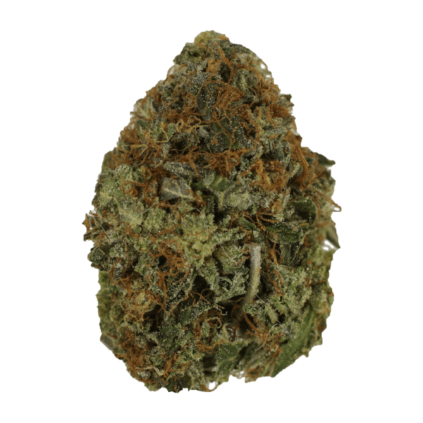 Orange Romulan | Crystal Cloud 9 Canada