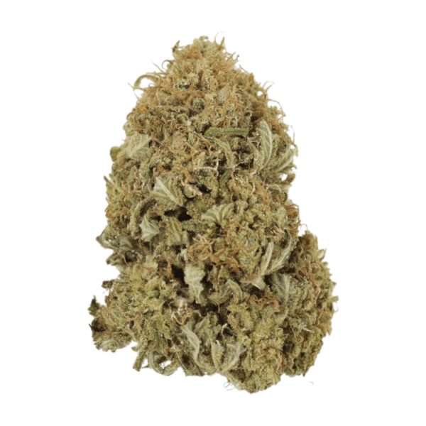 G13 | Crystal Cloud 9 Canada