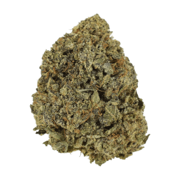 G13 | Crystal Cloud 9 Canada