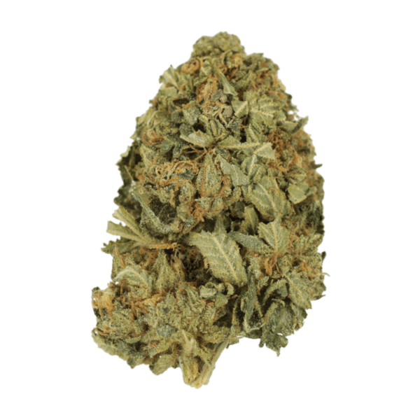 G13 | Crystal Cloud 9 Canada