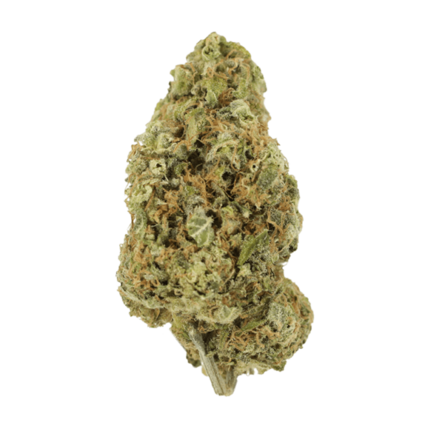 Sour Jack | Crystal Cloud 9 Canada