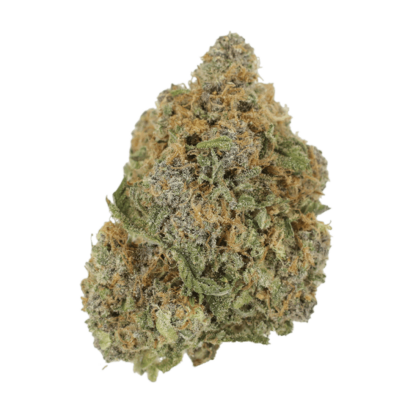 Jagermeister | Crystal Cloud 9 Canada