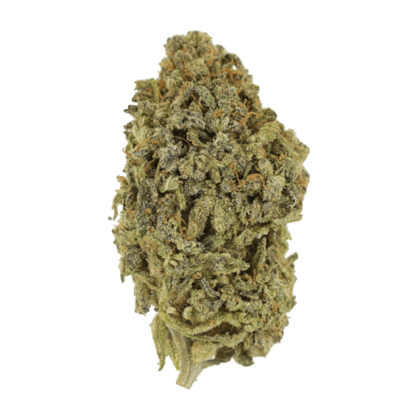 Watermelon Gelato | Crystal Cloud 9 Canada