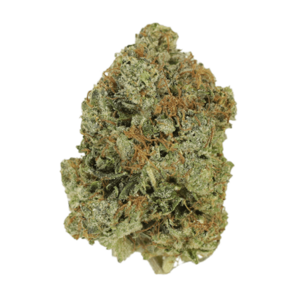 Jack Herer (popcorn) | Crystal Cloud 9 Canada