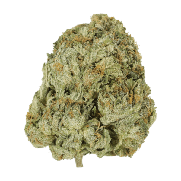 Godzilla Glue | Crystal Cloud 9 Canada