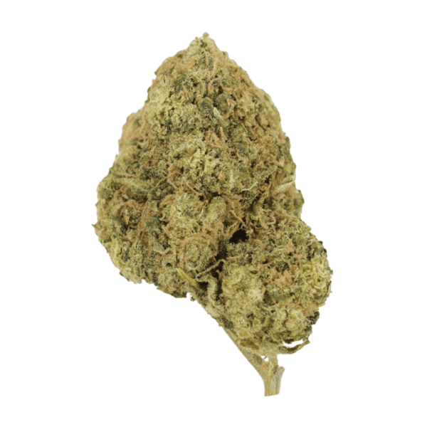 Laughing Buddha | Crystal Cloud 9 Canada